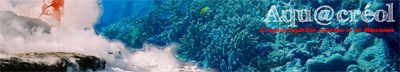 Aquacreol