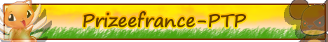 Prizeefrance-ptp