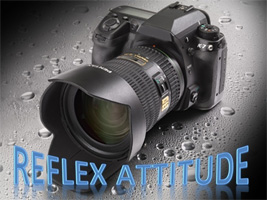 Reflex Attitude